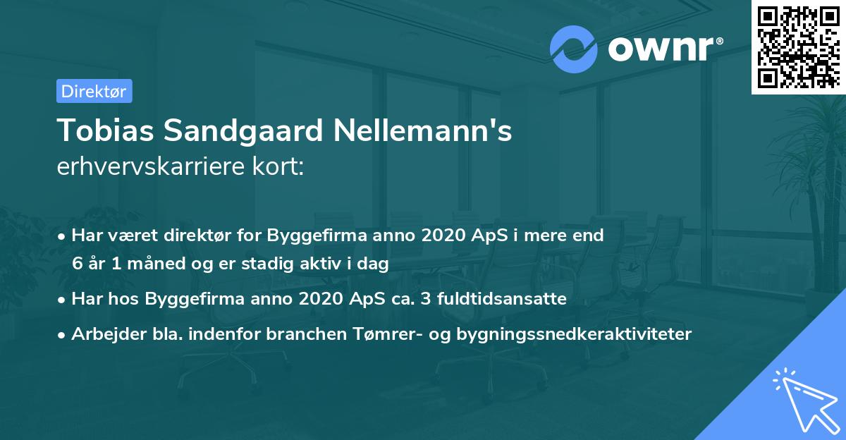 Tobias Sandgaard Nellemann's erhvervskarriere kort