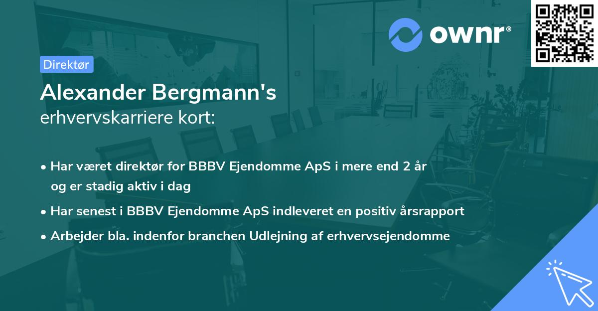 Alexander Bergmann's erhvervskarriere kort