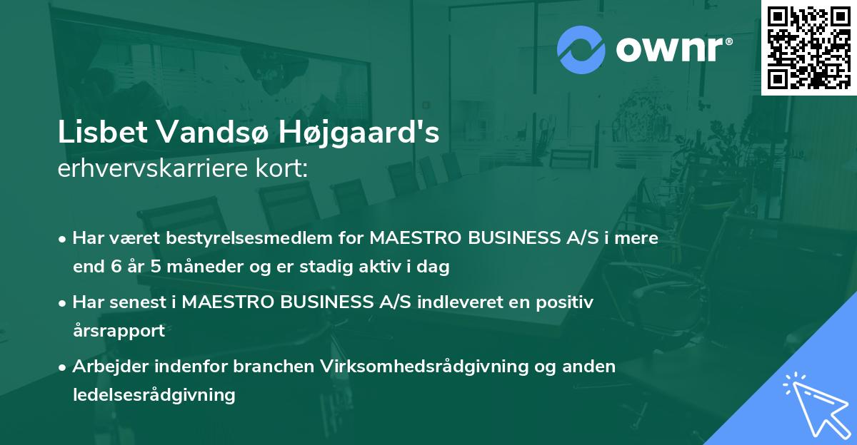 Lisbet Vandsø Højgaard's erhvervskarriere kort