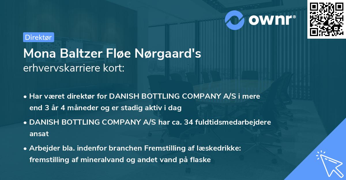 Mona Baltzer Fløe Nørgaard's erhvervskarriere kort