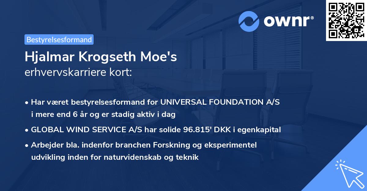 Hjalmar Krogseth Moe's erhvervskarriere kort