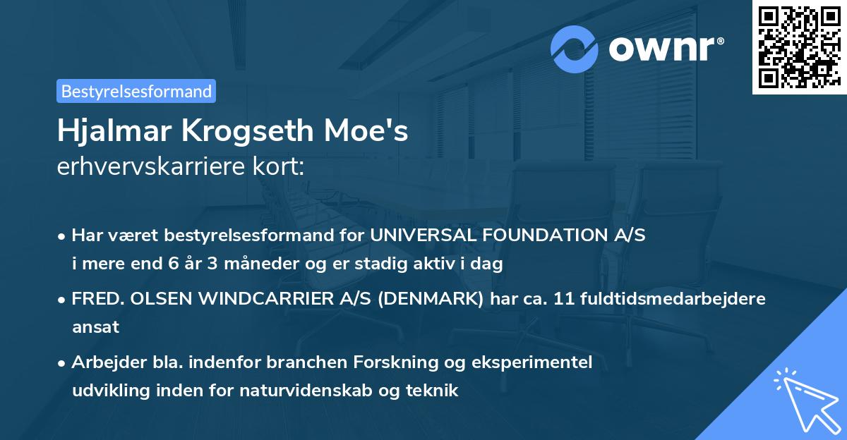 Hjalmar Krogseth Moe's erhvervskarriere kort