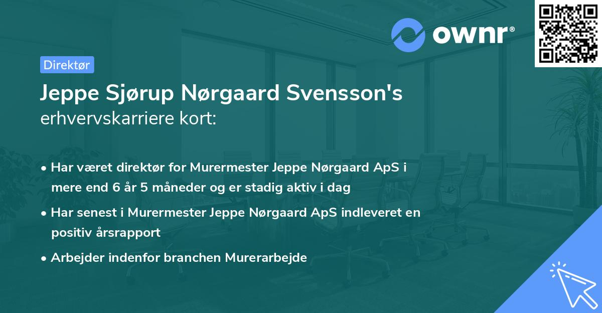 Jeppe Sjørup Nørgaard Svensson's erhvervskarriere kort