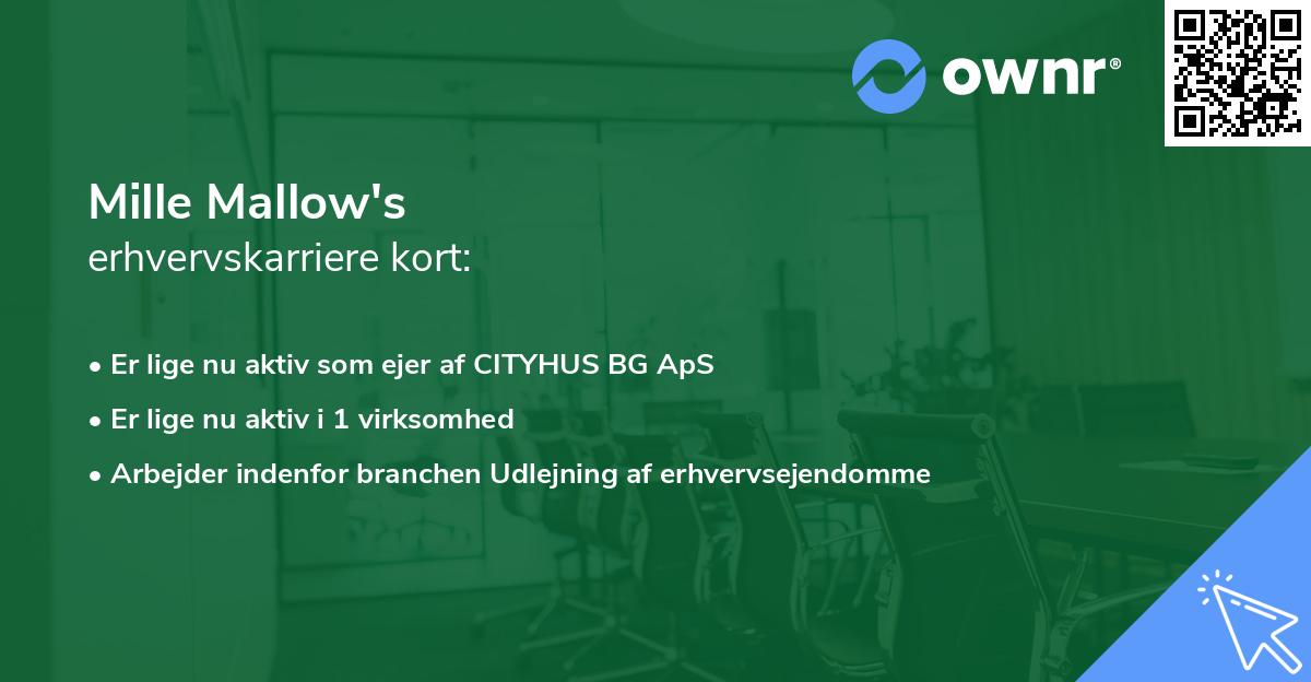 Mille Mallow's erhvervskarriere kort