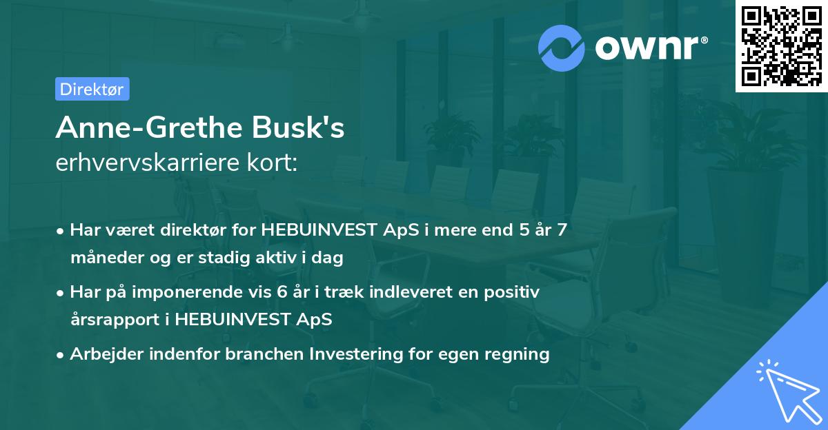 Anne-Grethe Busk's erhvervskarriere kort