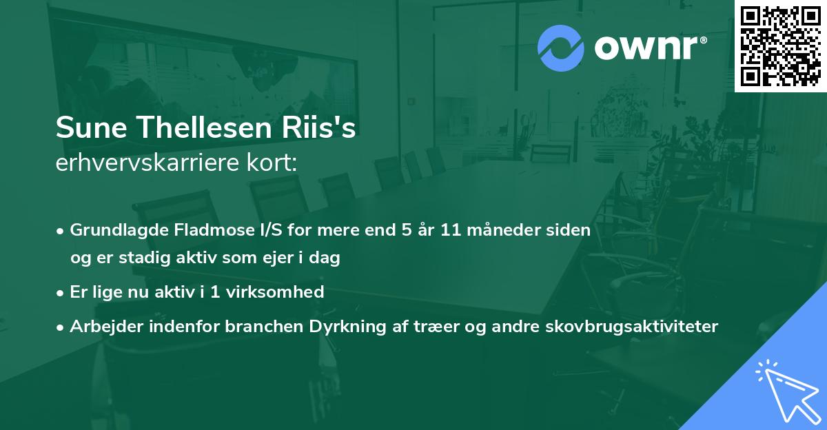 Sune Thellesen Riis's erhvervskarriere kort