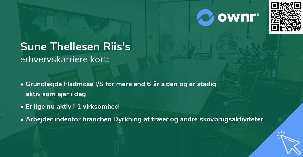Sune Thellesen Riis's erhvervskarriere kort