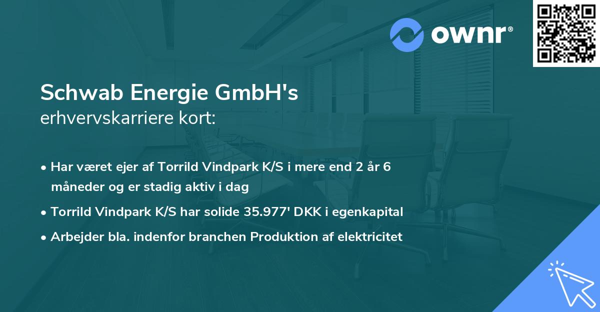 Schwab Energie GmbH's erhvervskarriere kort