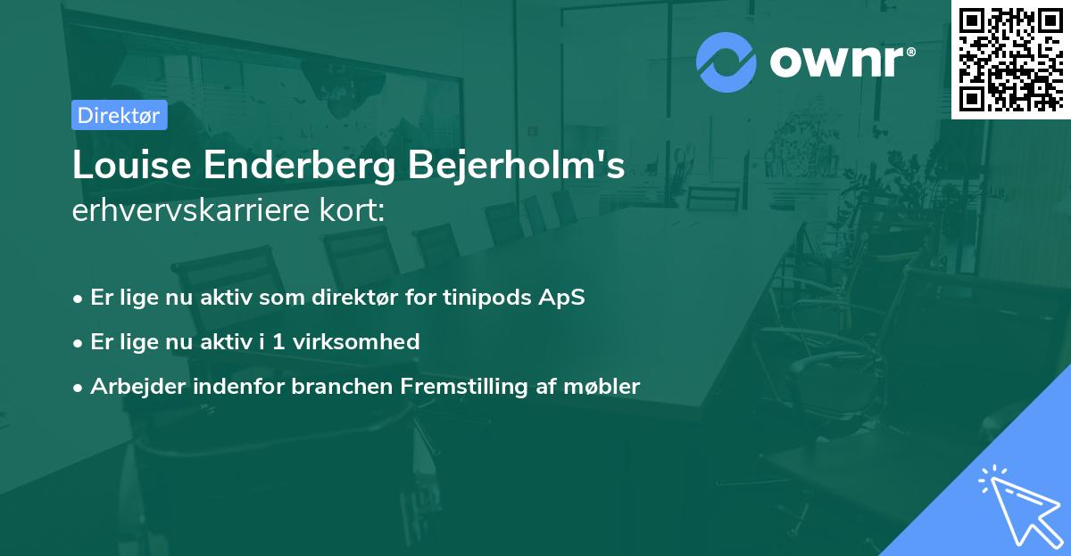 Louise Enderberg Bejerholm's erhvervskarriere kort