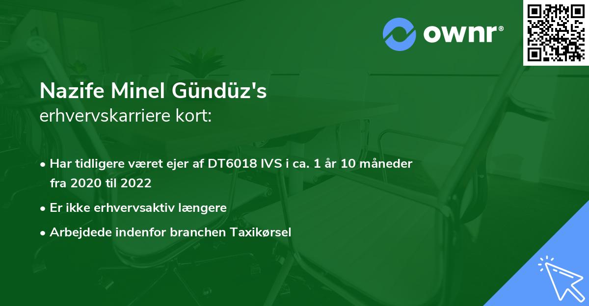 Nazife Minel Gündüz's erhvervskarriere kort