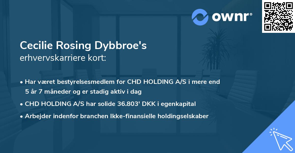 Cecilie Rosing Dybbroe's erhvervskarriere kort