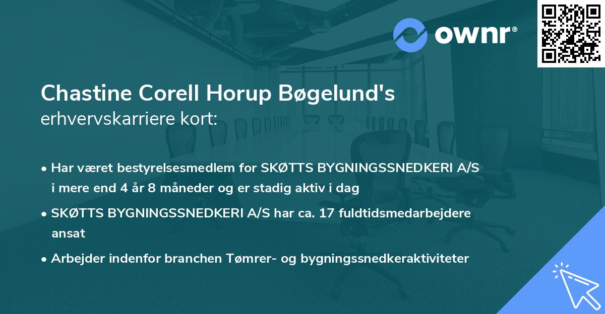 Chastine Corell Horup Bøgelund's erhvervskarriere kort