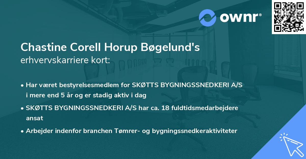 Chastine Corell Horup Bøgelund's erhvervskarriere kort