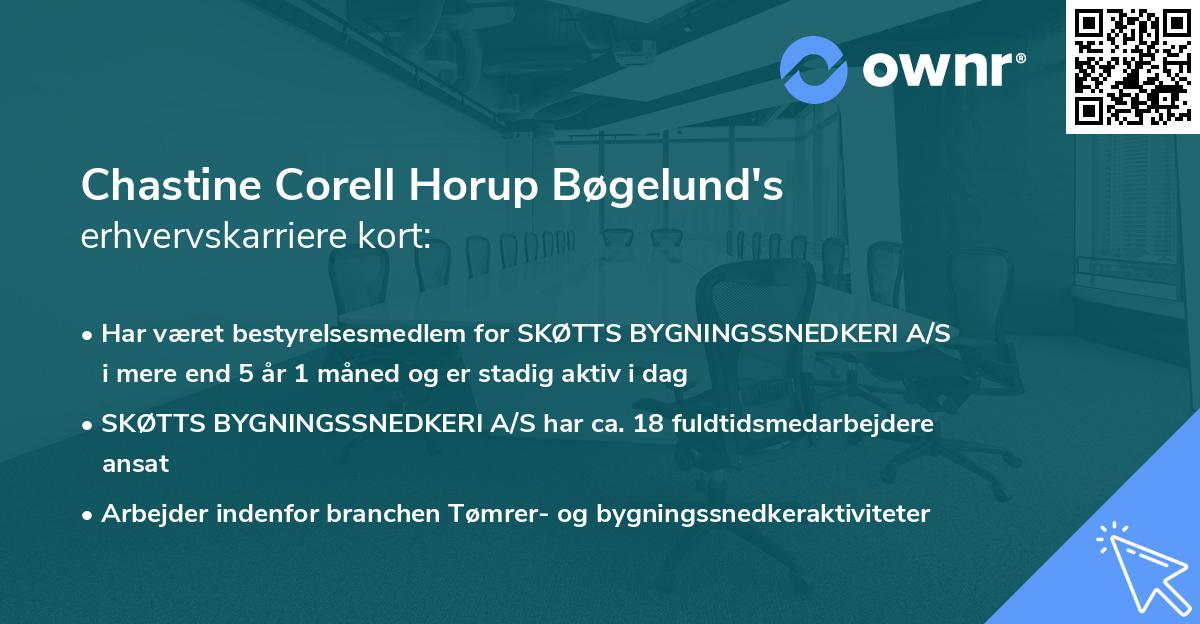 Chastine Corell Horup Bøgelund's erhvervskarriere kort