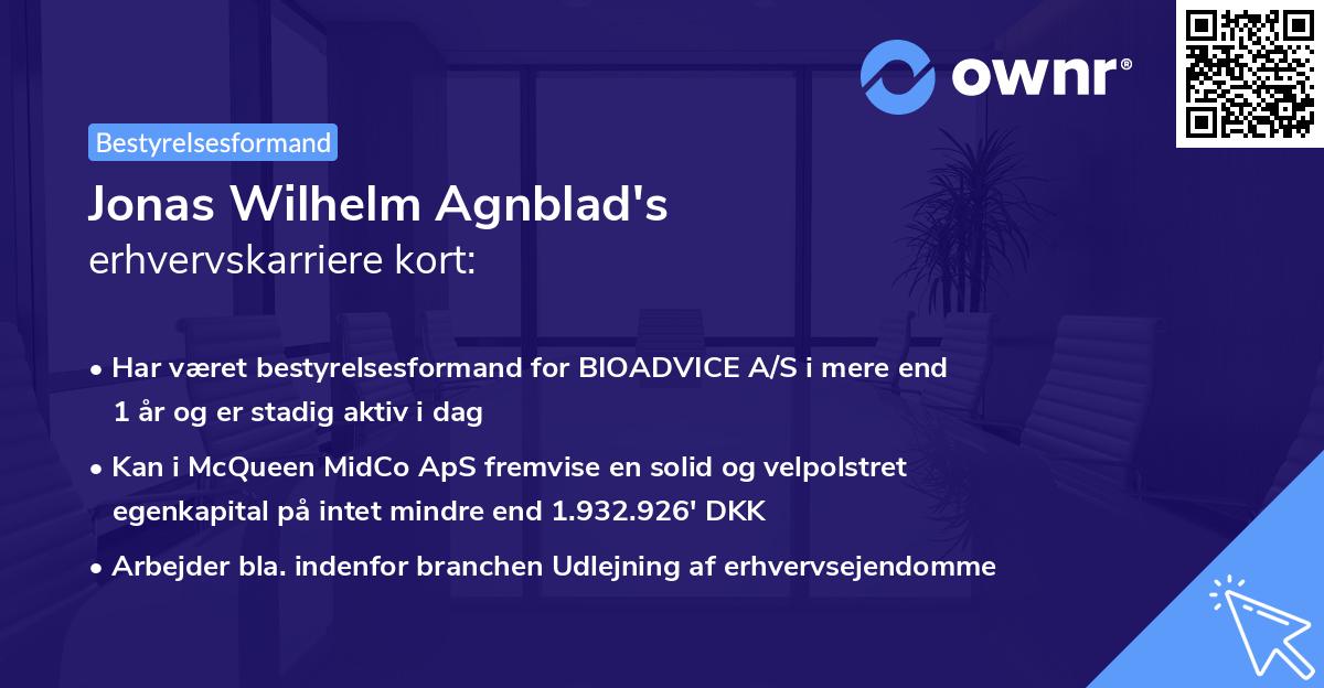 Jonas Wilhelm Agnblad's erhvervskarriere kort
