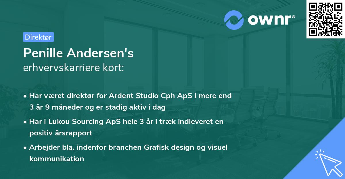 Penille Andersen's erhvervskarriere kort