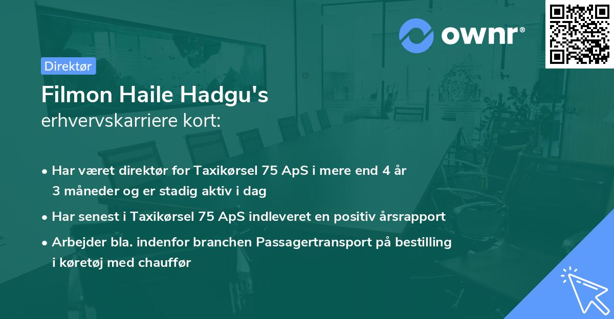 Filmon Haile Hadgu's erhvervskarriere kort