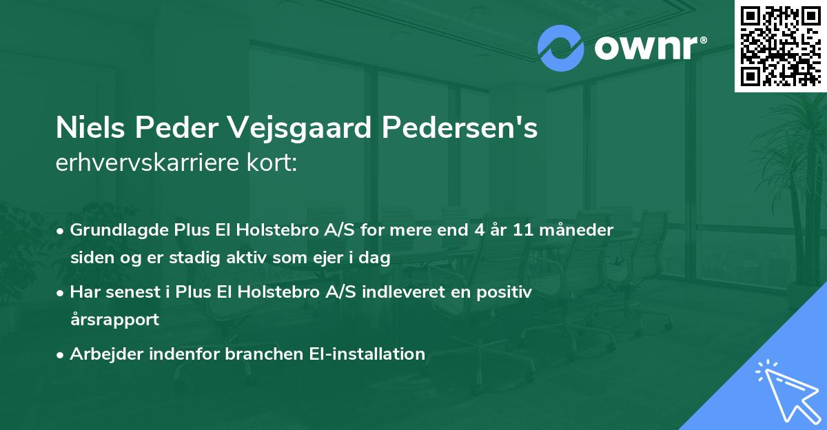 Niels Peder Vejsgaard Pedersen's erhvervskarriere kort