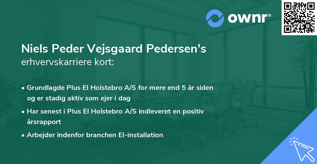 Niels Peder Vejsgaard Pedersen's erhvervskarriere kort