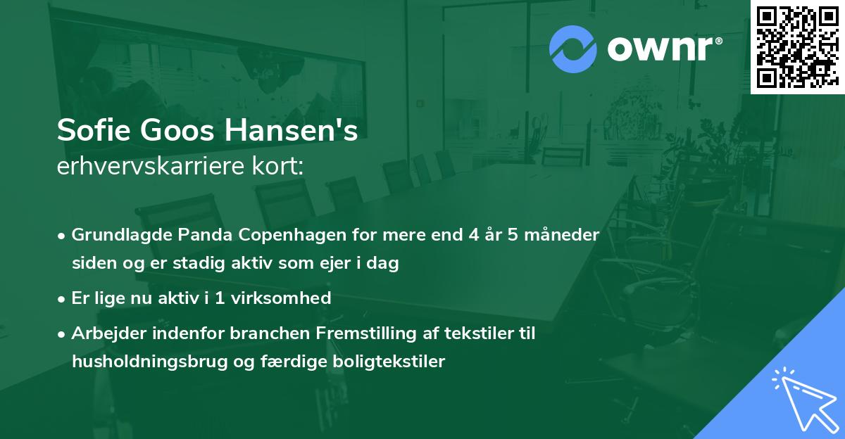 Sofie Goos Hansen's erhvervskarriere kort