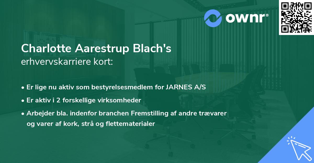 Charlotte Aarestrup Blach's erhvervskarriere kort