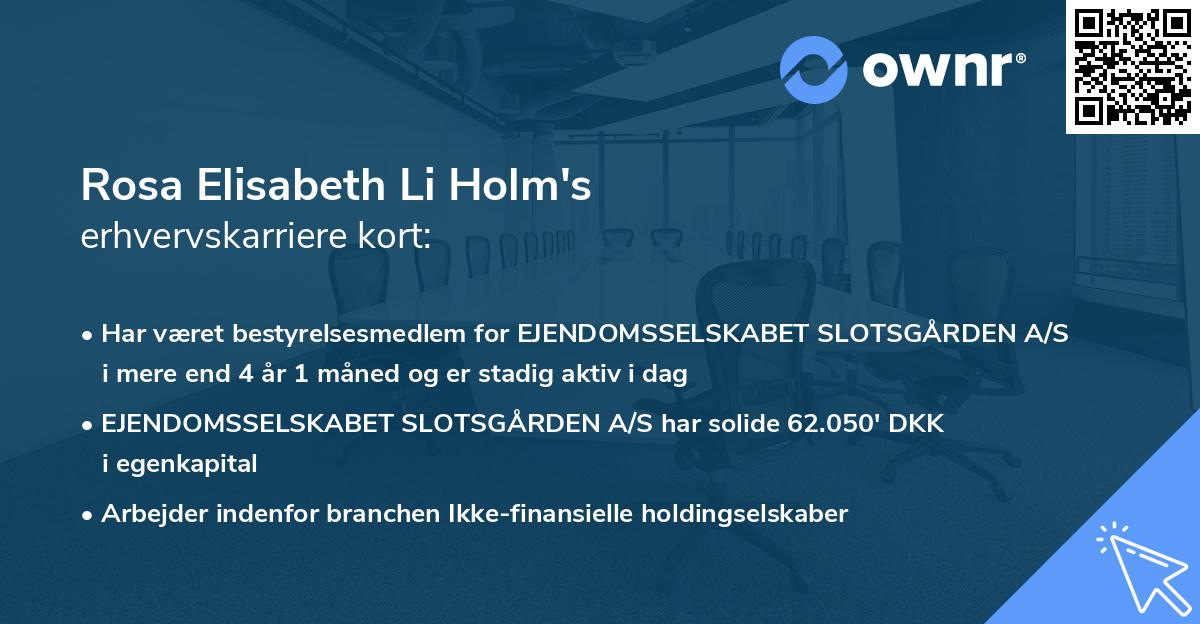 Rosa Elisabeth Li Holm's erhvervskarriere kort