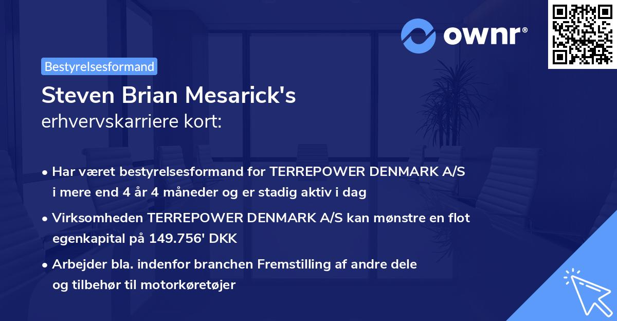 Steven Brian Mesarick's erhvervskarriere kort