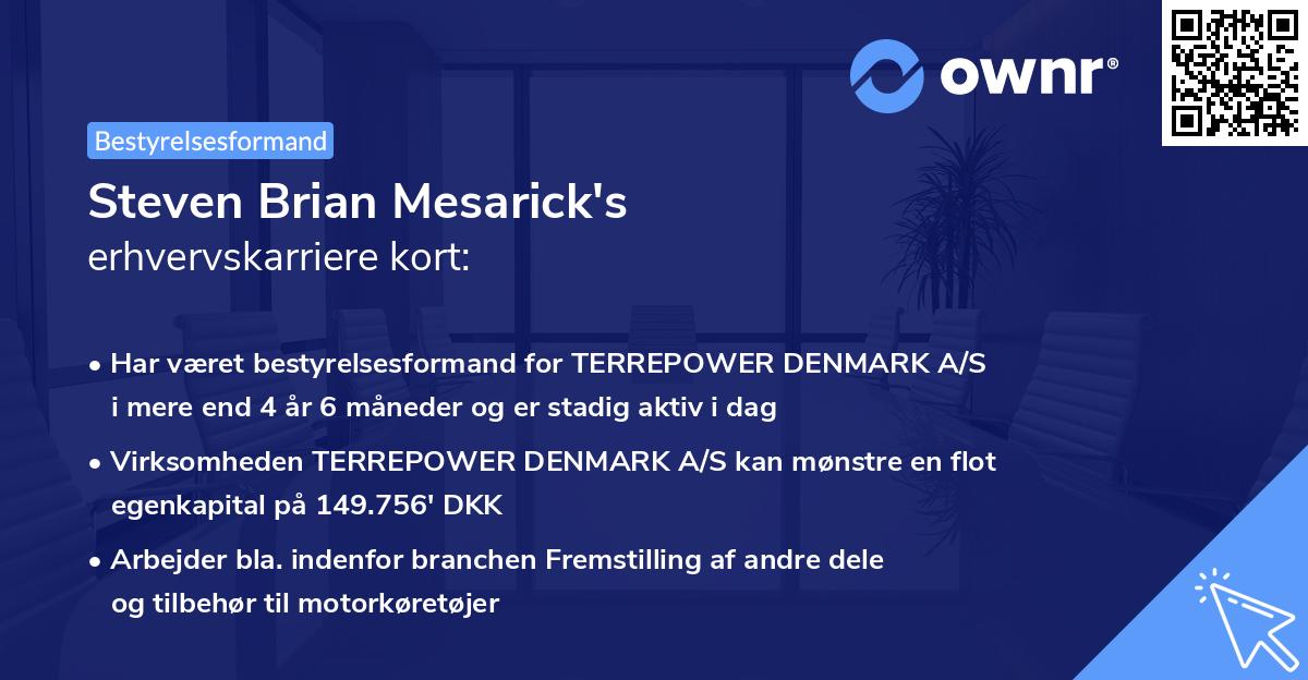 Steven Brian Mesarick's erhvervskarriere kort