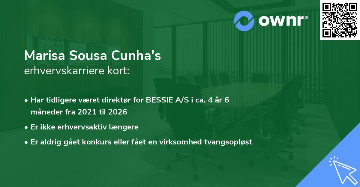 Marisa Sousa Cunha's erhvervskarriere kort