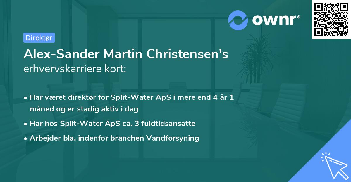 Alex-Sander Martin Christensen's erhvervskarriere kort