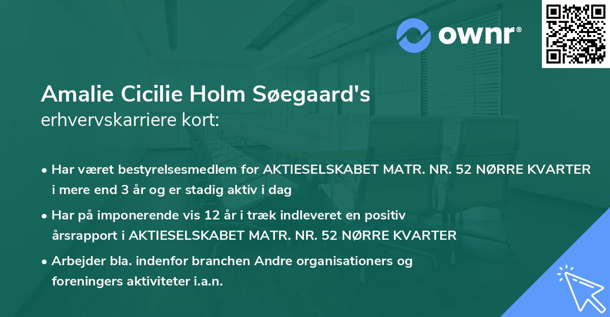 Amalie Cicilie Holm Søegaard's erhvervskarriere kort