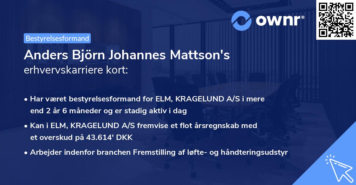 Anders Björn Johannes Mattson's erhvervskarriere kort