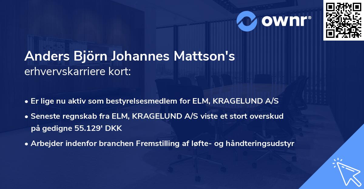 Anders Björn Johannes Mattson's erhvervskarriere kort