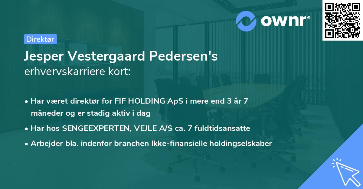 Jesper Vestergaard Pedersen's erhvervskarriere kort