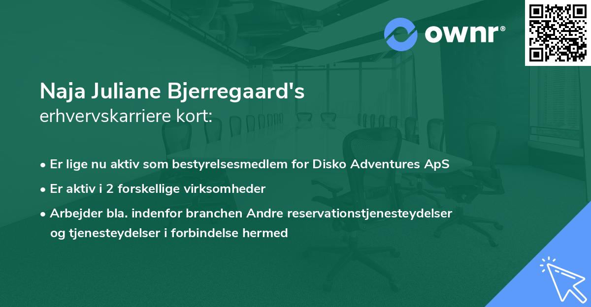 Naja Juliane Bjerregaard's erhvervskarriere kort