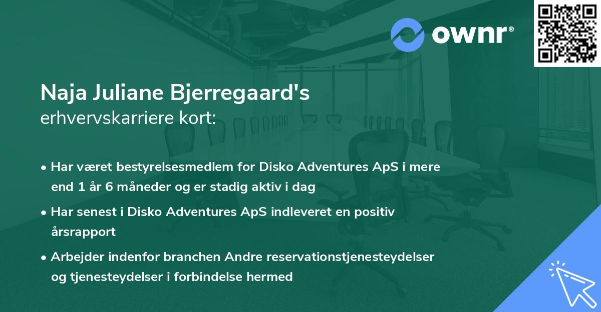Naja Juliane Bjerregaard's erhvervskarriere kort