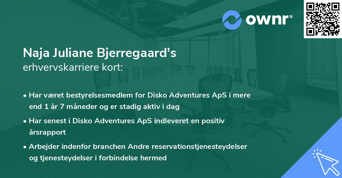 Naja Juliane Bjerregaard's erhvervskarriere kort