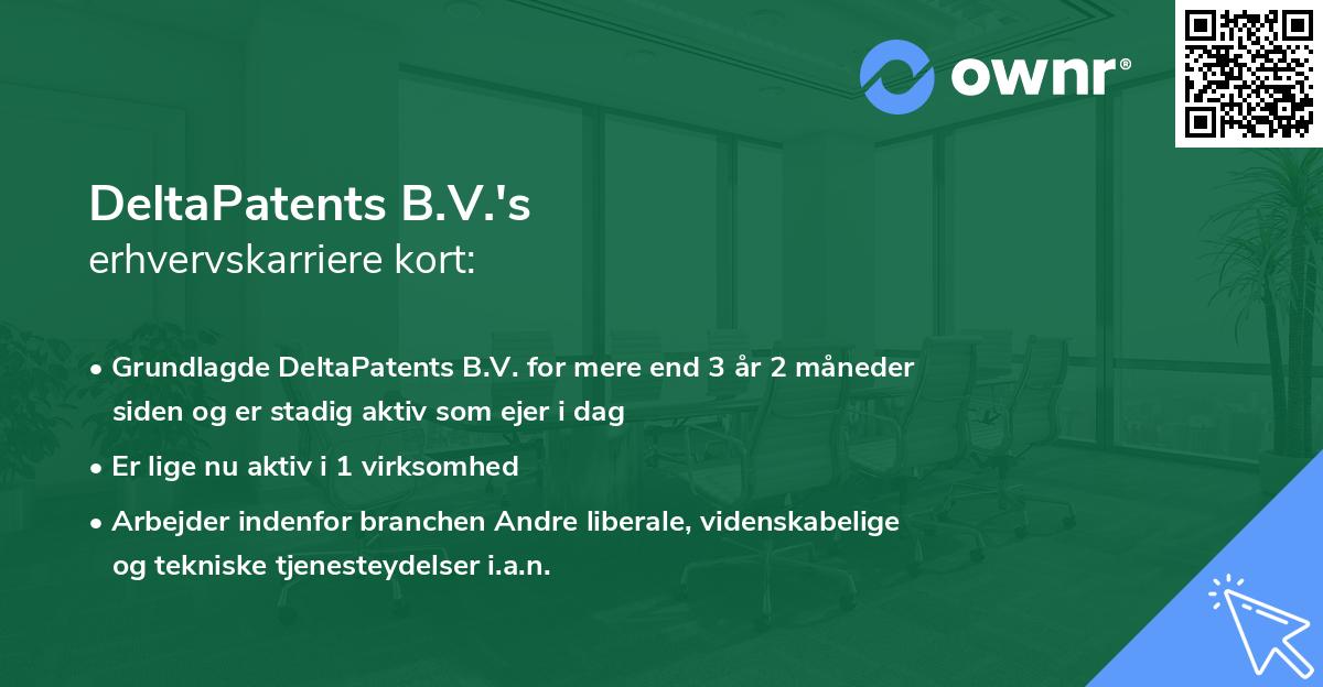 DeltaPatents B.V.'s erhvervskarriere kort