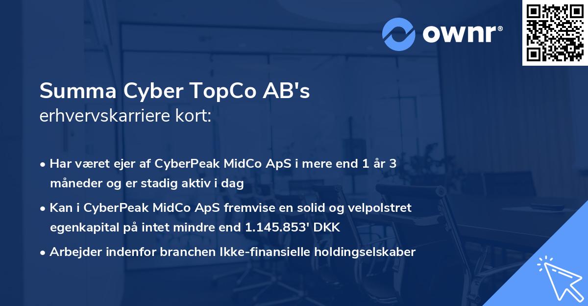 Summa Cyber TopCo AB's erhvervskarriere kort