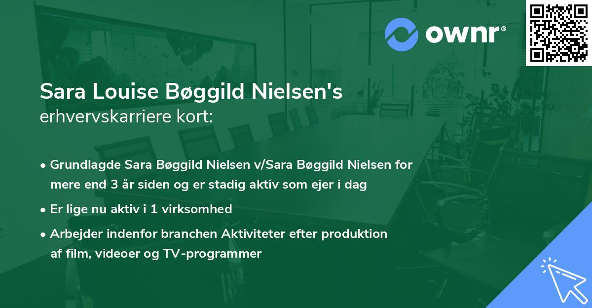 Sara Louise Bøggild Nielsen's erhvervskarriere kort