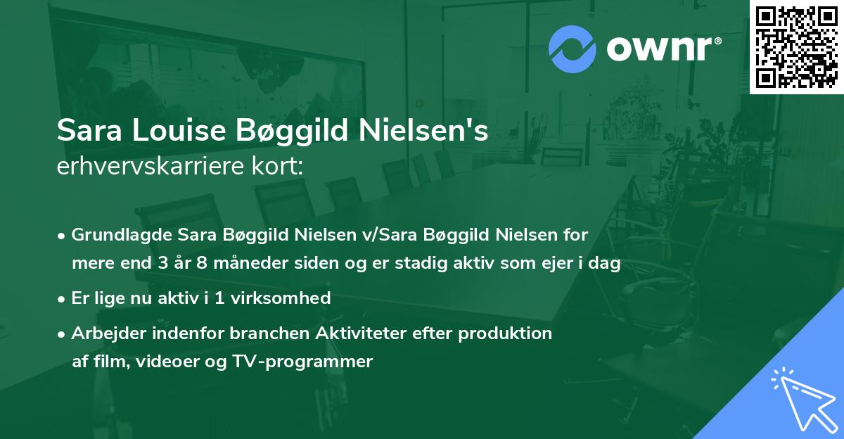 Sara Louise Bøggild Nielsen's erhvervskarriere kort