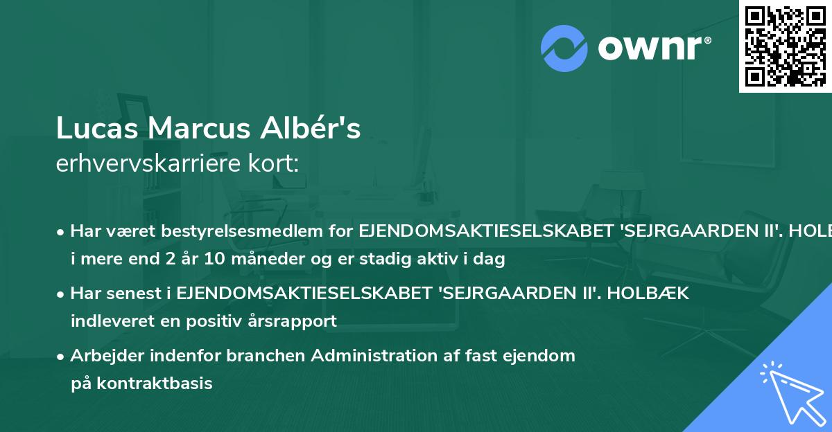 Lucas Marcus Albér's erhvervskarriere kort