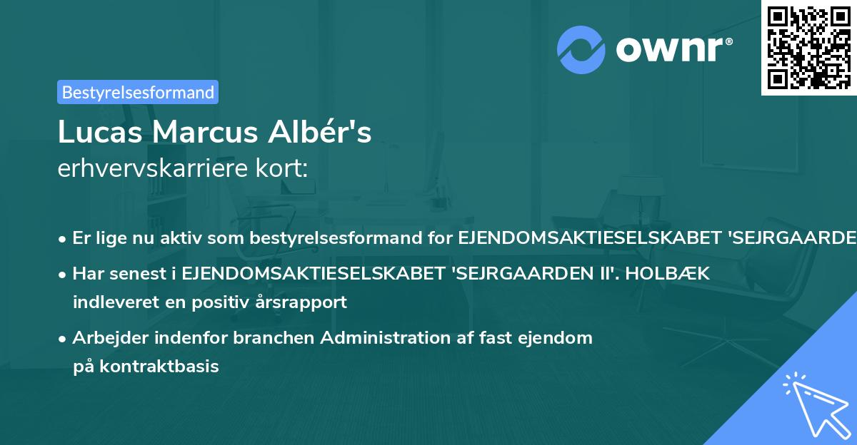 Lucas Marcus Albér's erhvervskarriere kort