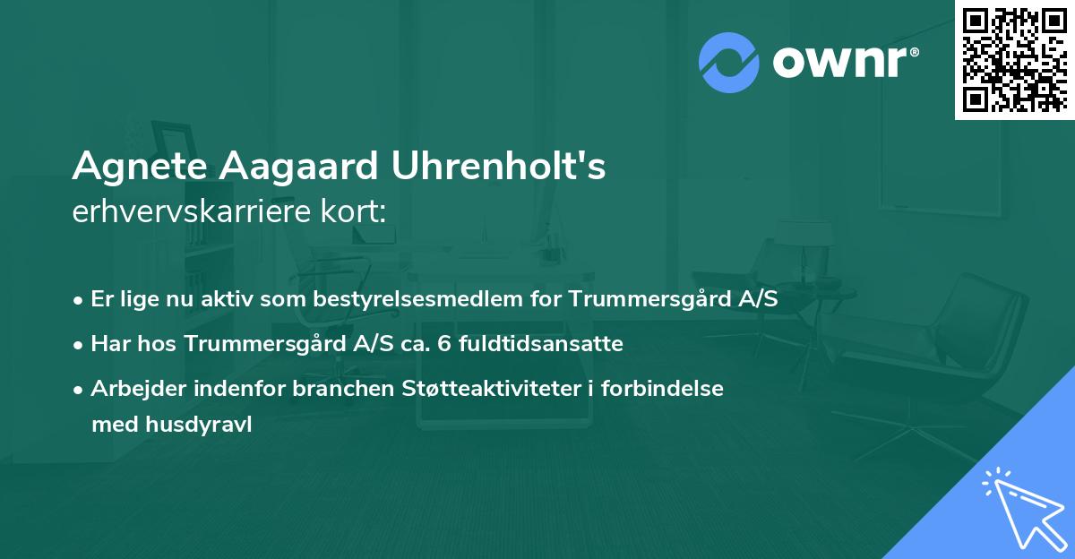 Agnete Aagaard Uhrenholt's erhvervskarriere kort