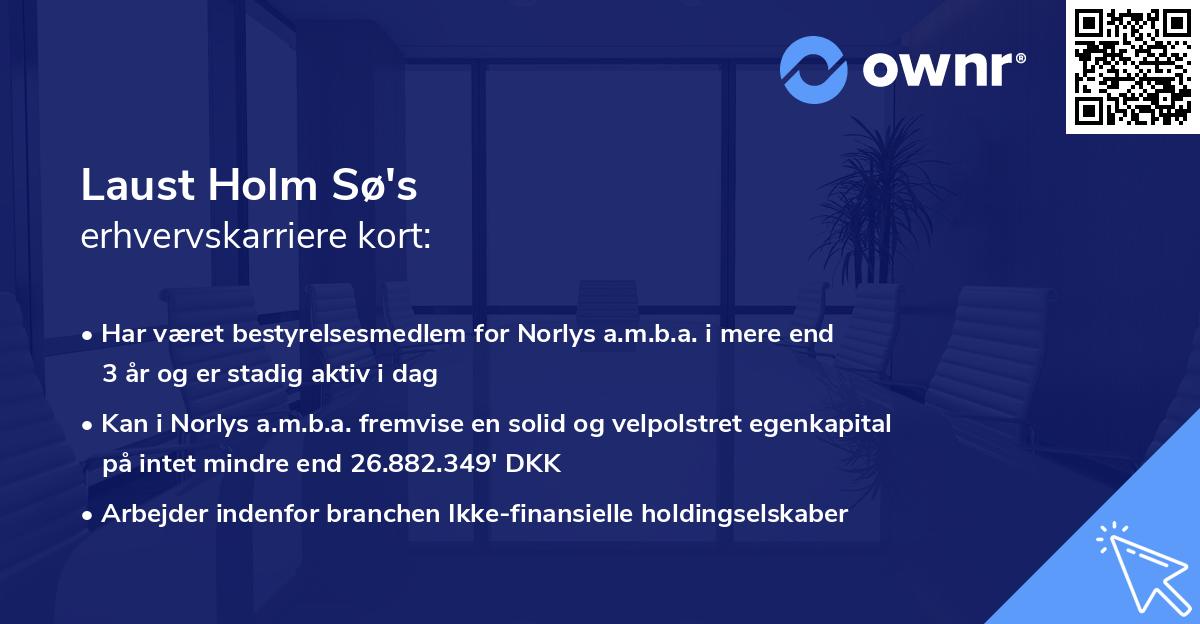 Laust Holm Sø's erhvervskarriere kort
