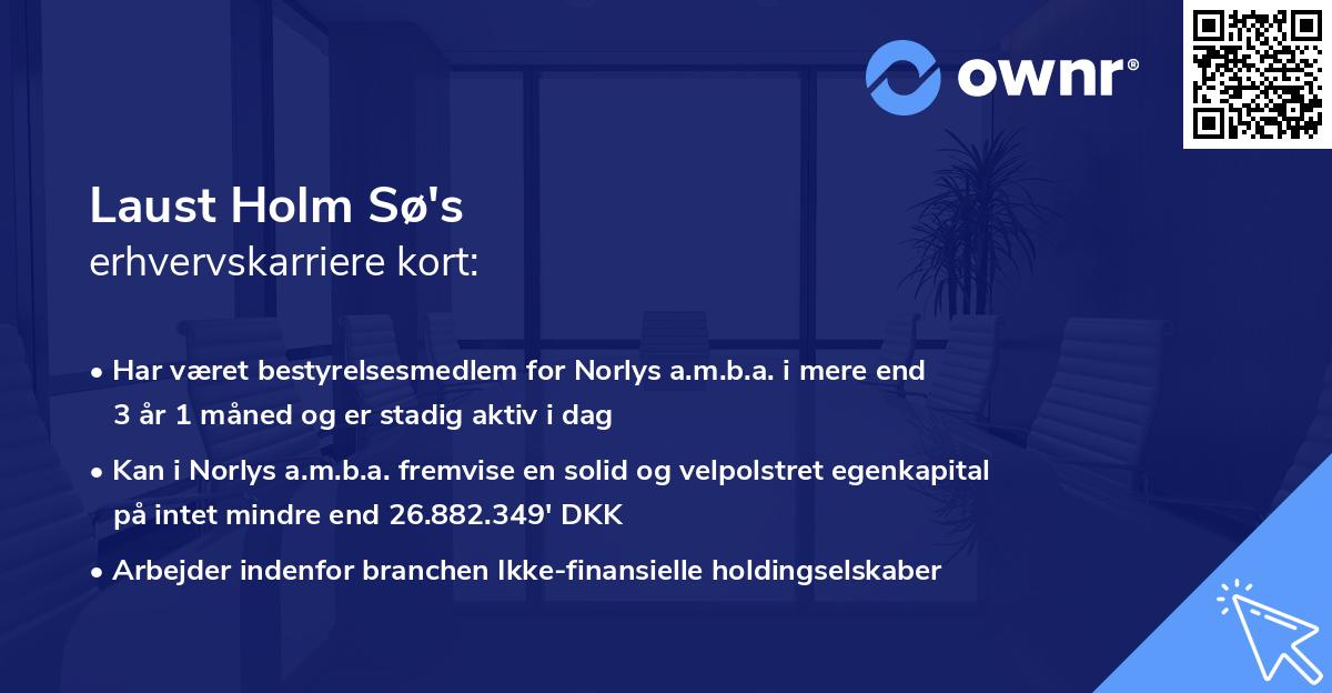 Laust Holm Sø's erhvervskarriere kort
