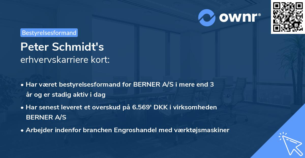Peter Schmidt's erhvervskarriere kort