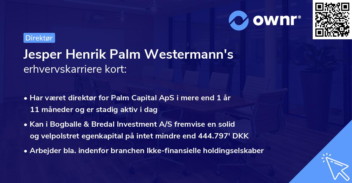 Jesper Henrik Palm Westermann's erhvervskarriere kort
