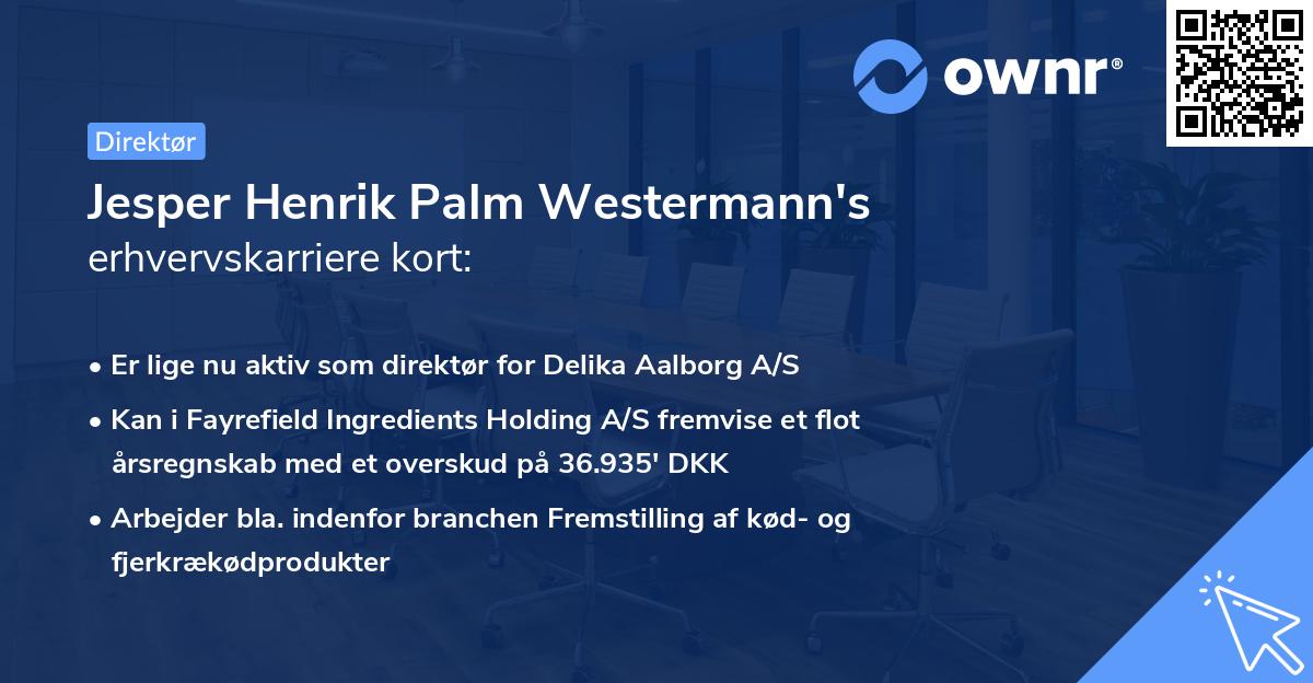 Jesper Henrik Palm Westermann's erhvervskarriere kort