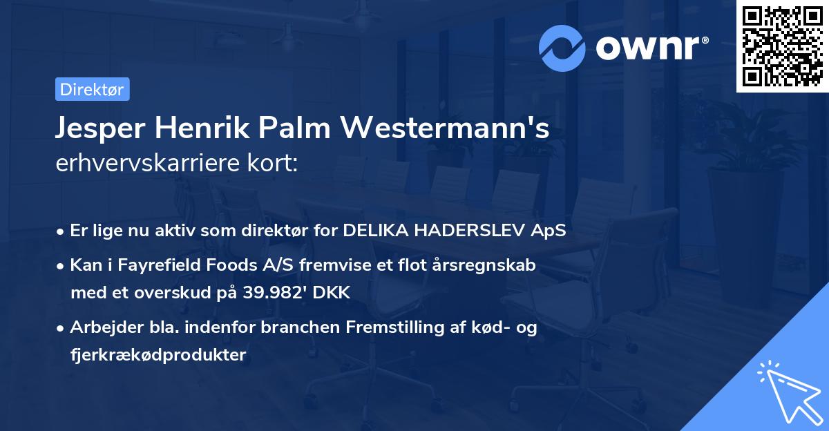 Jesper Henrik Palm Westermann's erhvervskarriere kort